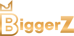 biggerz-india.com-logo